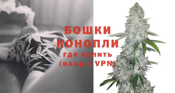 трава Белокуриха