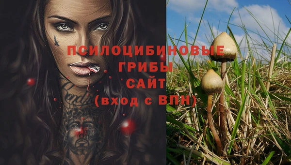 первитин Арсеньев