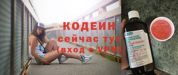 трава Белокуриха