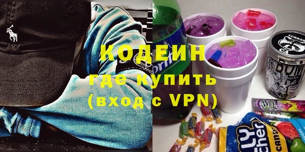 трава Белокуриха